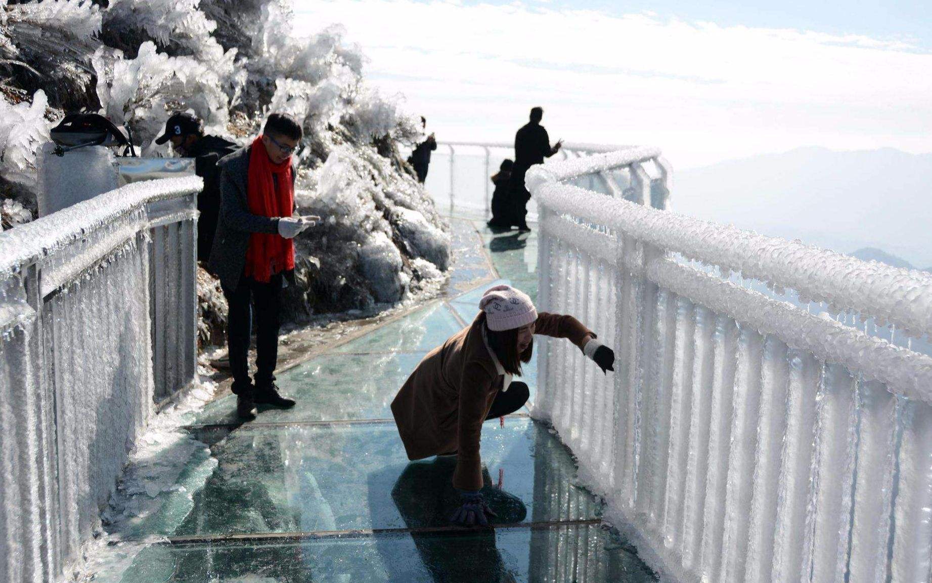 17152151783356.jpg 000000000000000.jpg