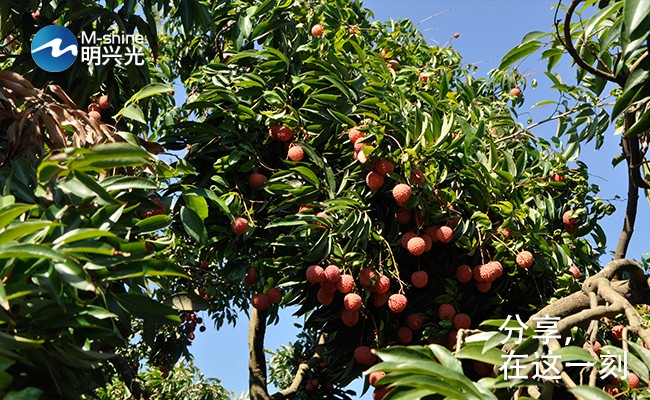 17156482795454.jpg 000000000000000.jpg