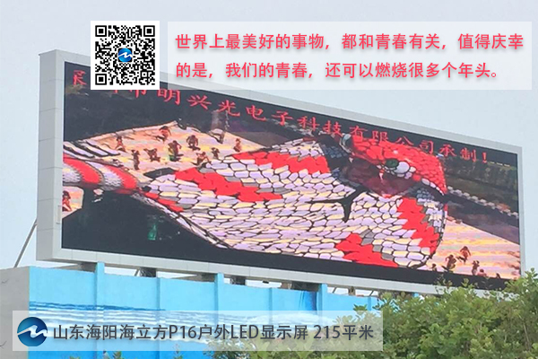 17156486261541.jpg 33.jpg